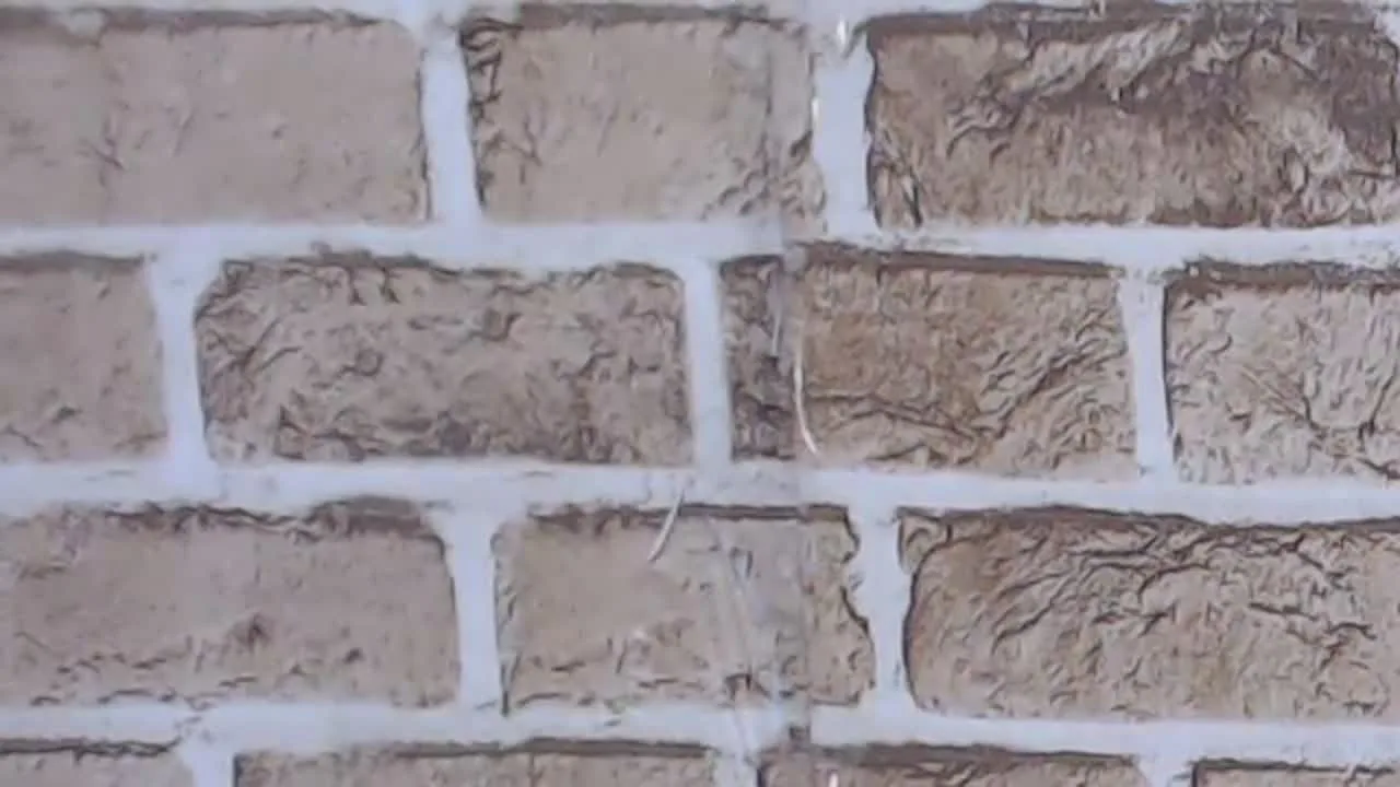 範田紗々ライブチャット(4/30)♡ - FC2 Video - 241354