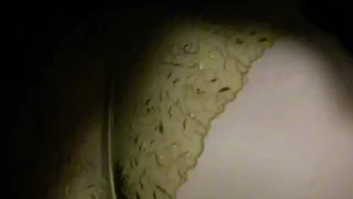 奈崎　おしり倶楽部.mp4 - FC2 Video - 243374