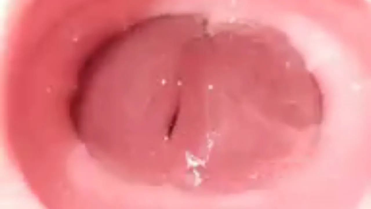 オナ禁寸止めちんぽ オナホで射精 20240601 - FC2 Video - 246472