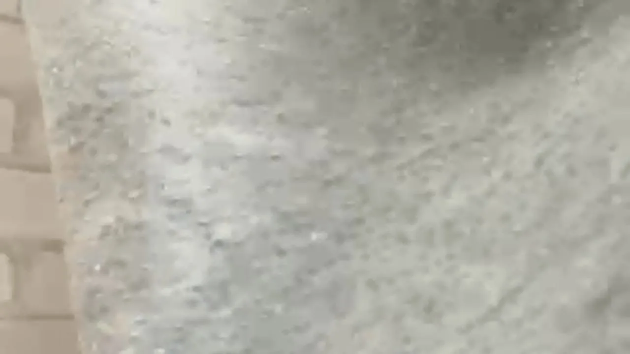 お昼から…/// - FC2 Video - 247054