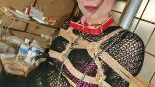 緊縛好き熟女装子を飼ってくれる？ - FC2 Video - 247270