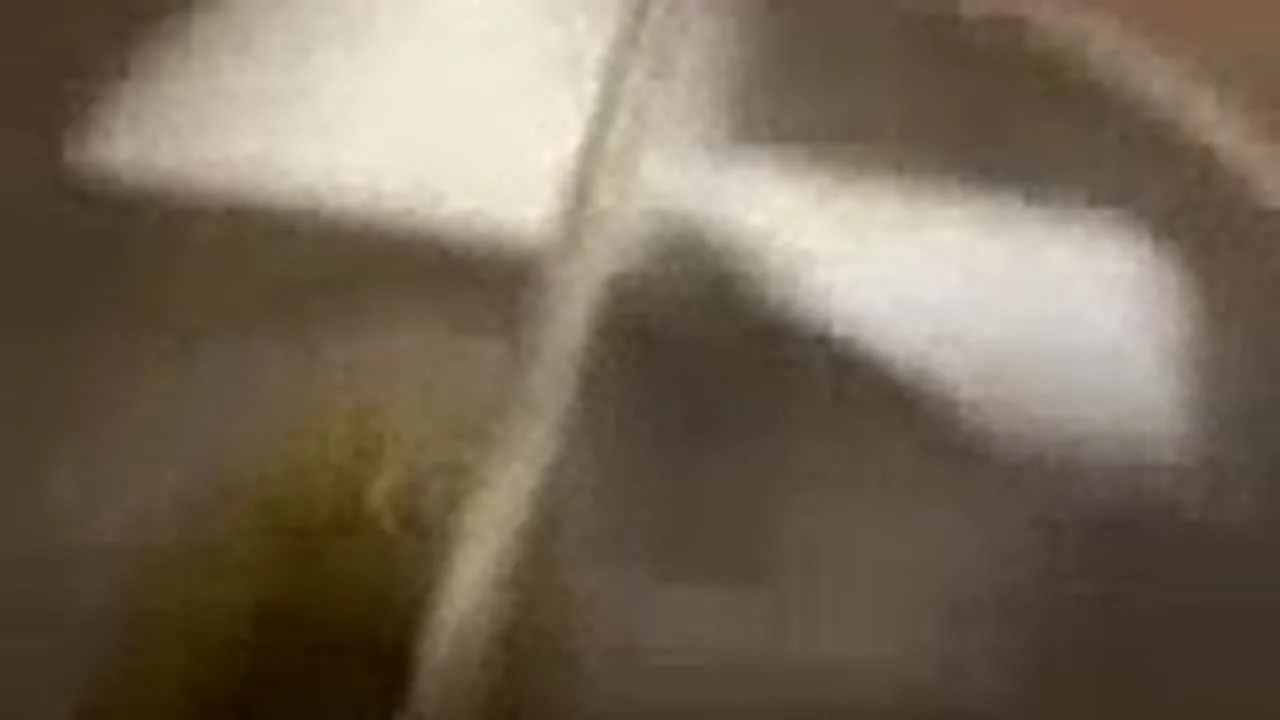 ****するだけ - FC2 Video - 247519