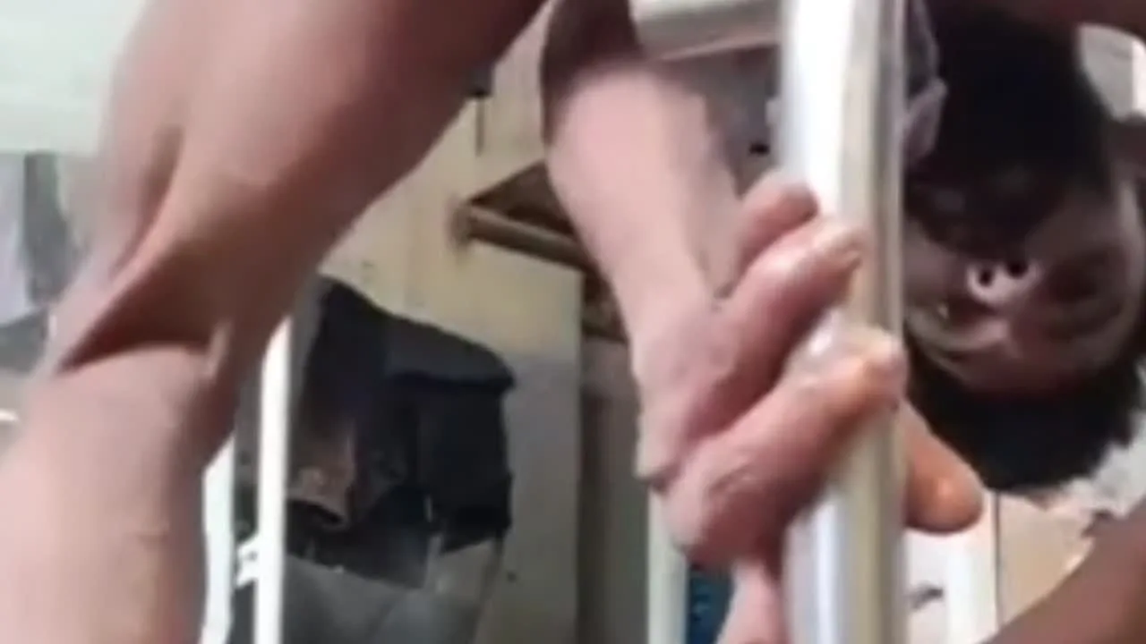 somiya - FC2 Video - 249710