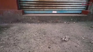 【無修正ｘ個人撮影】廃墟になった病院で、セフレと初めての半野外アナル3Pをしちゃいました - FC2 Video - 256119