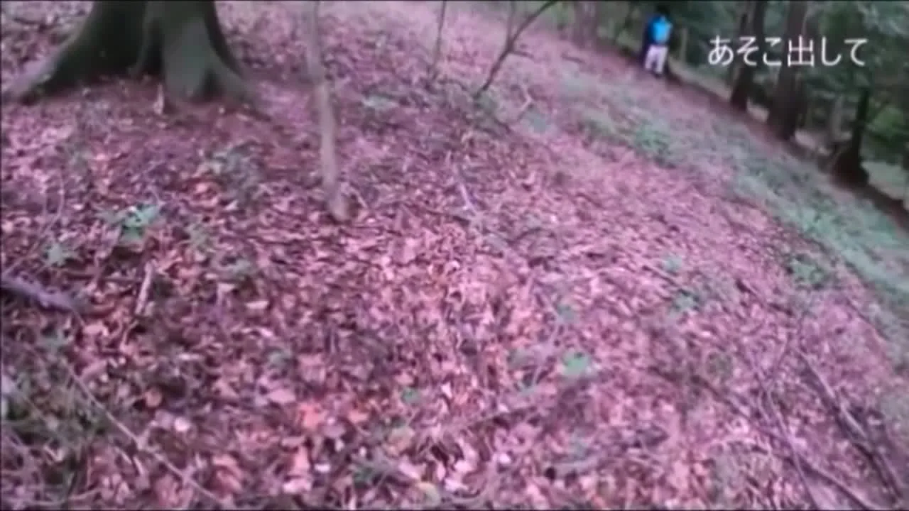 ゆめ？ - FC2 Video - 256425