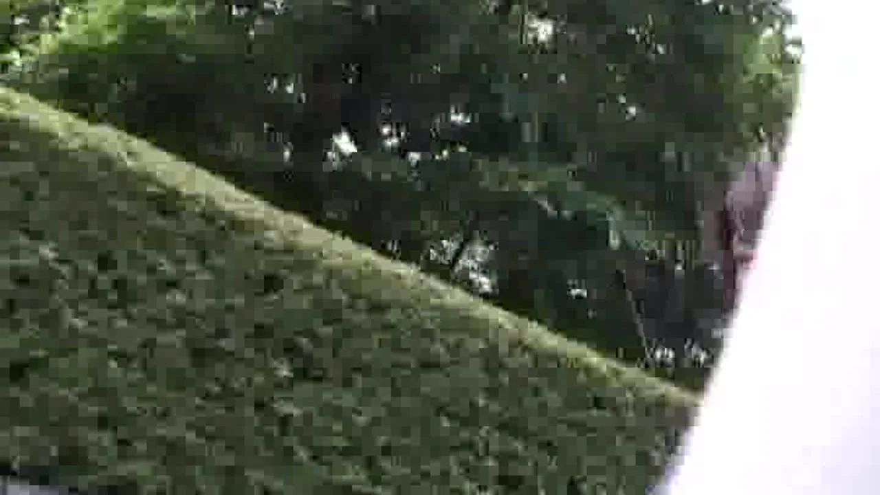 【人妻】欲求不満を抱き、激しいSEXを切望する淫乱妻たち　素人妻２名　その１１ - FC2 Video - 259836