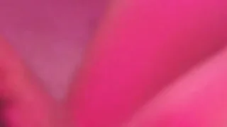 プーケットの夜の女の子が一番興味深々だった贈り物！　大人の玩具　２ - FC2 Video - 262340