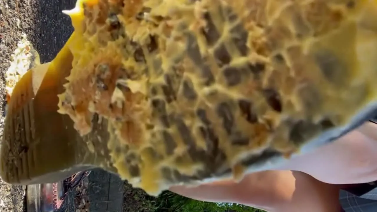 自撮り女性応援企画ローファーでシュークリームクラッシュ - FC2 Video - 265440