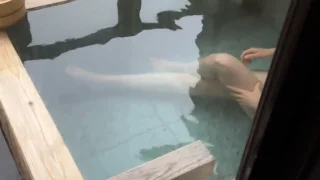 日光のホテル徳川、外から丸見えの部屋付きの露天風呂に入湯している妻の貧乳真理子を無断でトウサツ ① - FC2 Video - 266914