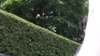 【人妻】欲求不満を抱き、激しいSEXを切望する淫乱妻たち　素人妻４名　その６ - FC2 Video - 268417