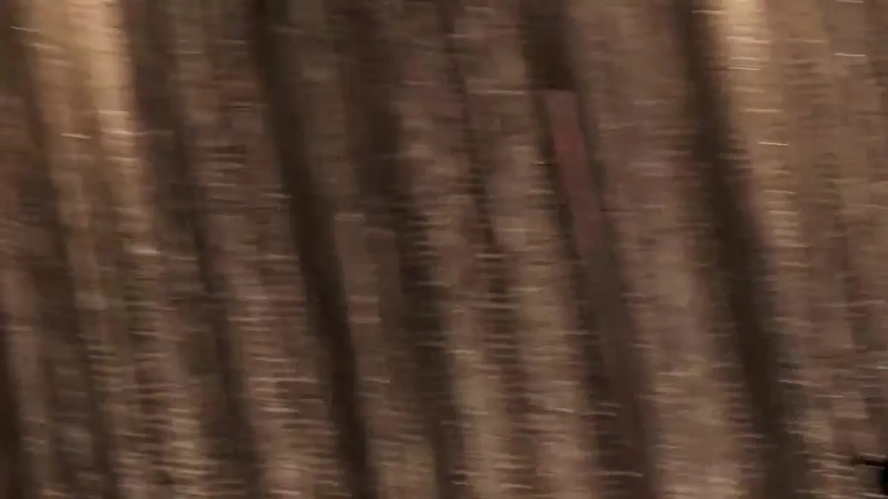 アダルトエキスポ**映像 - FC2 Video - 270752