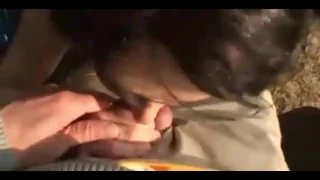 巨乳外人が野外でフェラチオ - FC2 Video - 273962