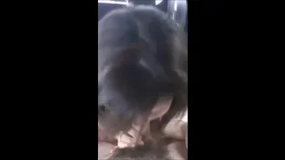 041.mp4 - FC2 Video - 274144