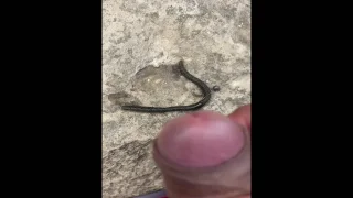 釣り中にいきなりムラムラが襲いかかる！ - FC2 Video - 275152