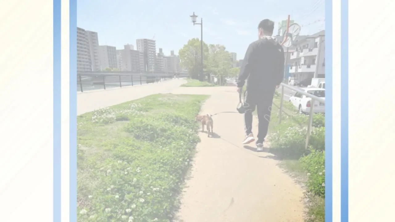 ｌ求人.mp4 - FC2 Video - 277136