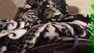 ちょっと - FC2 Video - 277986