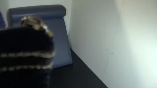 【無修正】驚異のマジ逝き5回昇天、ヤングミセスの欲求不満度はマックスだった - FC2 Video - 278776