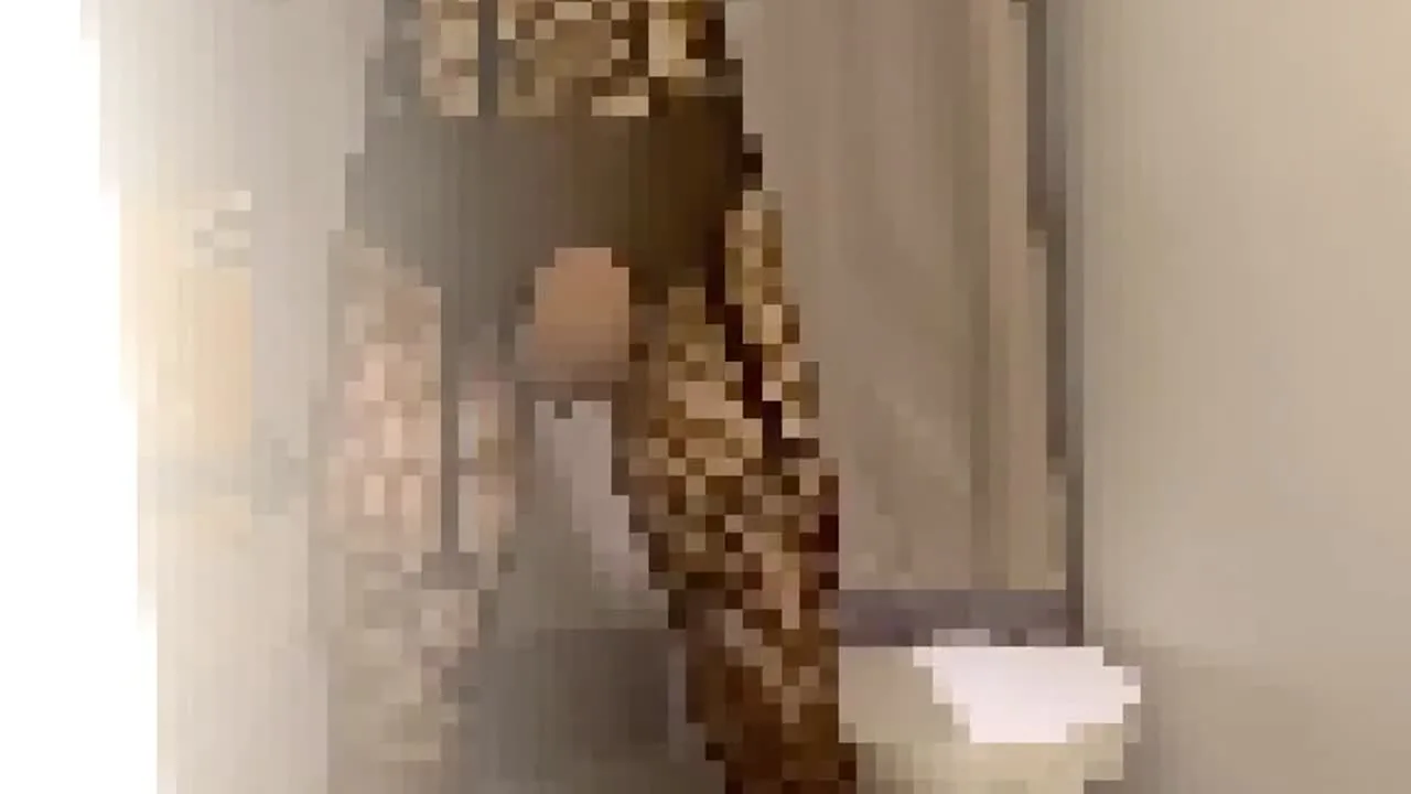 【人妻素人】試着室で全身タイツオナニー　目が合った男性をお誘い - FC2 Video - 284853