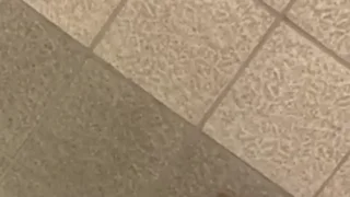 田町グランパーク　プラザ棟 男子トイレ - FC2 Video - 292823