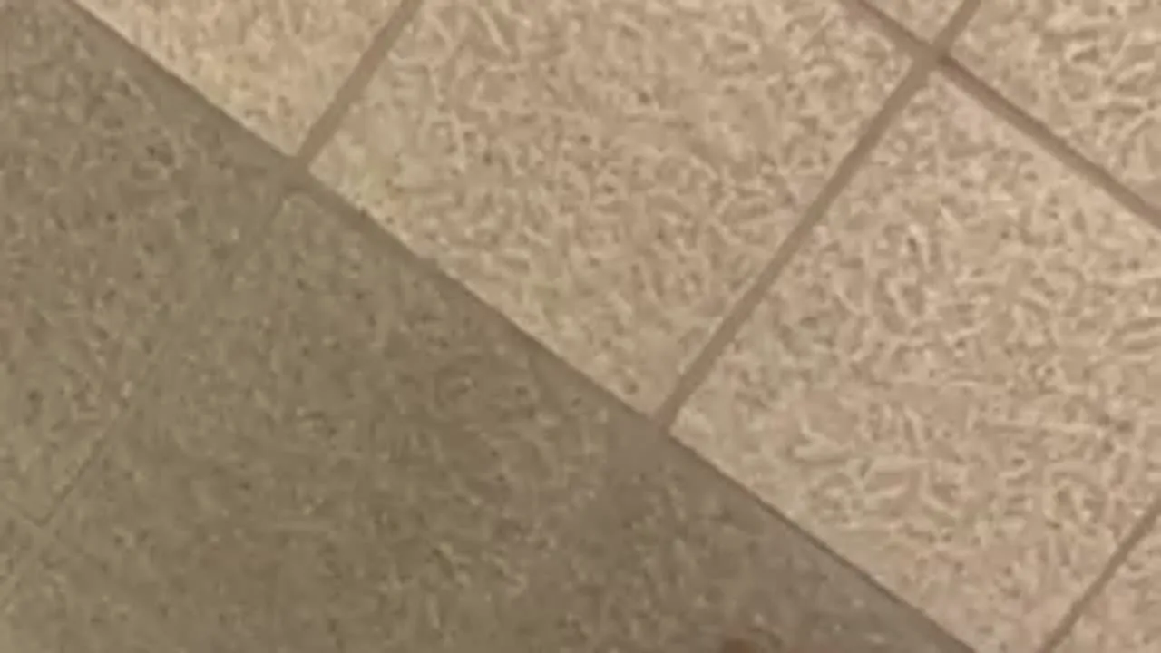 田町グランパーク　プラザ棟 男子トイレ - FC2 Video - 292823