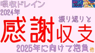 【吸収ドレイン】【進捗報告】2024年12月5回目 2024年感謝と振り返りと収支、2025年に向けて抱負など - FC2 Video - 298816