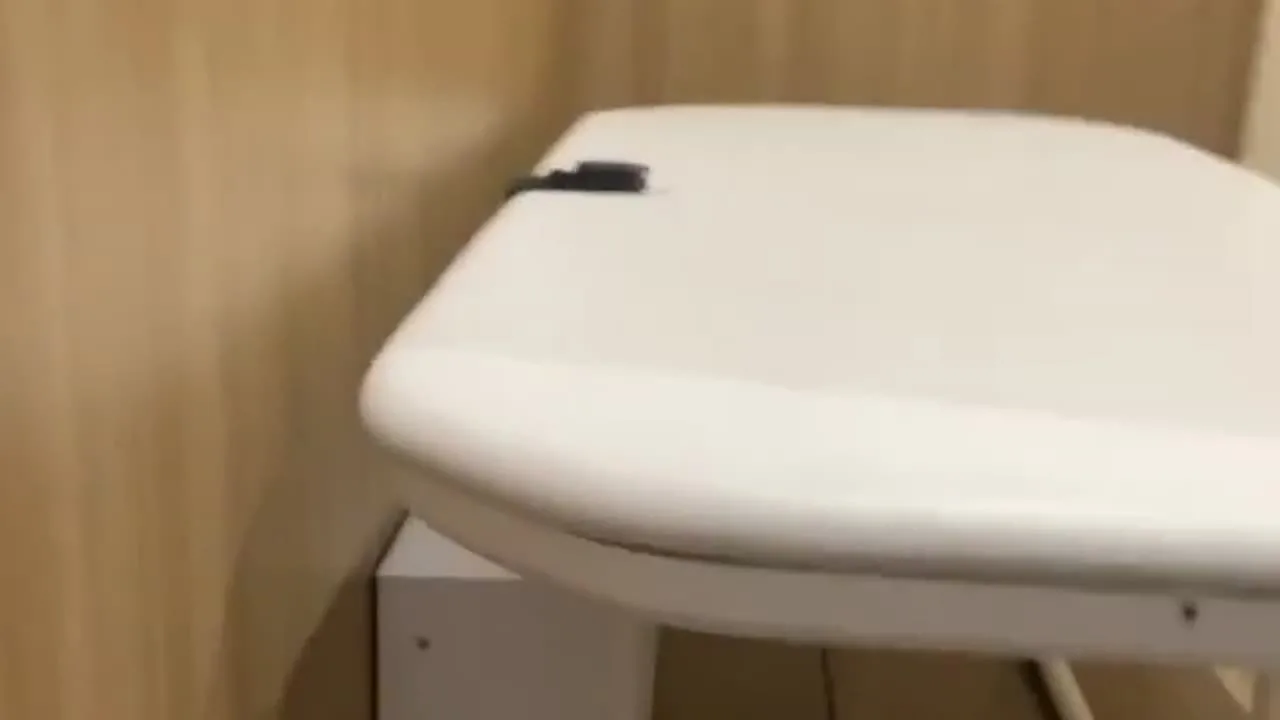 【人妻】素人人妻　ど淫乱≫鍵を閉めずに目的トイレで　仮設ベッドで目隠し全裸オナニー - FC2 Video - 298856