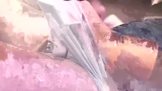 ぽっこり主のお部屋 - FC2 Video - 299692