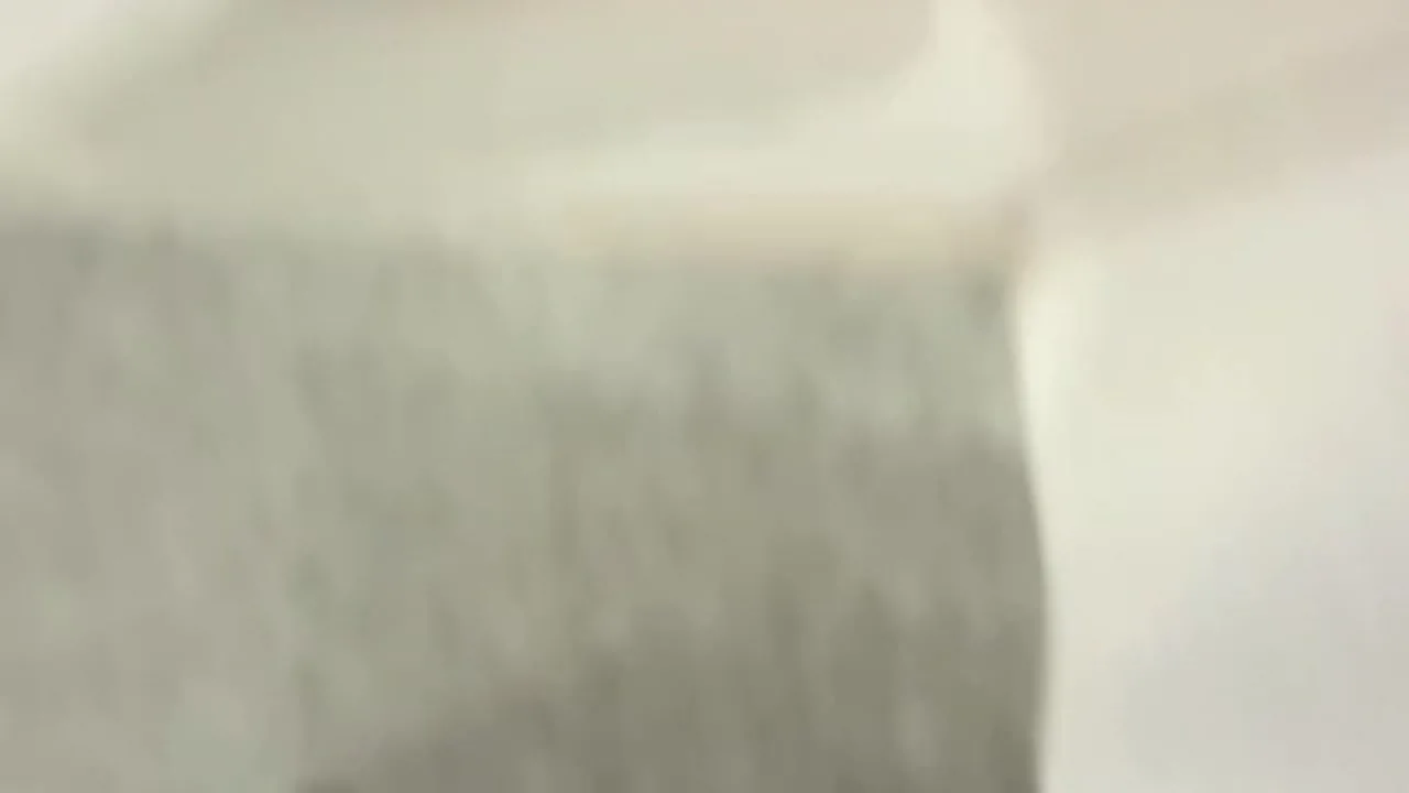 中出しです。 - FC2 Video - 302412