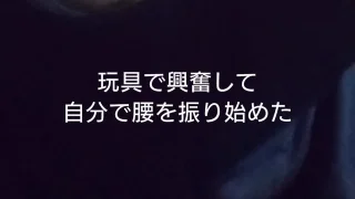 デブ嫁ダイエット調教1 - FC2 Video - 307485