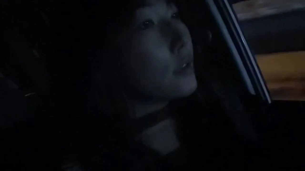 雪の降る中車内て外ても潮吹き - FC2 Video - 308751