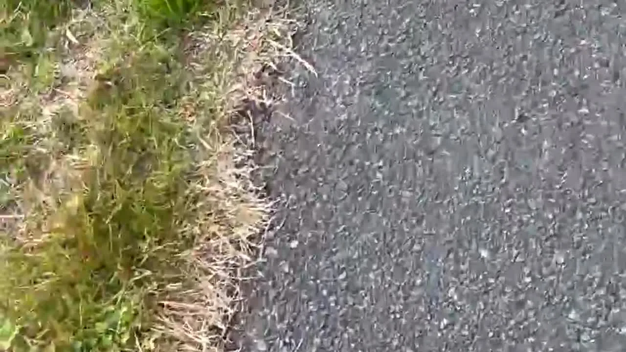 【素人寝取られ人妻みゆ　パンティ丸見え露出お散歩】不倫　淫乱　NTR スマホ撮影　剛毛 - FC2 Video - 311814