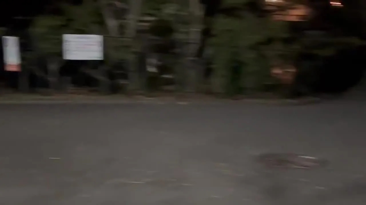 【不倫寝取られ人妻　年末最後の貞操帯着用散歩】人妻　素人　貞操帯　剛毛　貧乳　露出　オナ - FC2 Video - 312076