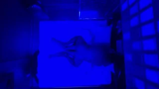 221-【乳首ピアス19歳】の寝込みを。ラリったように精子懇願するリアルＪＤ。卑猥な言葉はまるでエロダイヤルＱ２ - FC2 Video - 313652