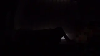 態度はアレですが素材の良さは超一流です！ - FC2 Video - 314469