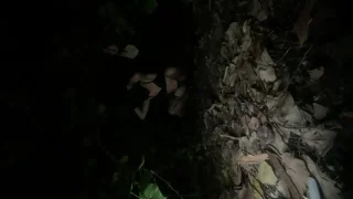 性**の野外露出 - FC2 Video - 317980