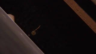 【個撮熟女】極上ボディの清楚系三十路熟女。淫乱口マンコでオチンポたっぷりご奉仕してくれましたｗ - FC2 Video - 323083