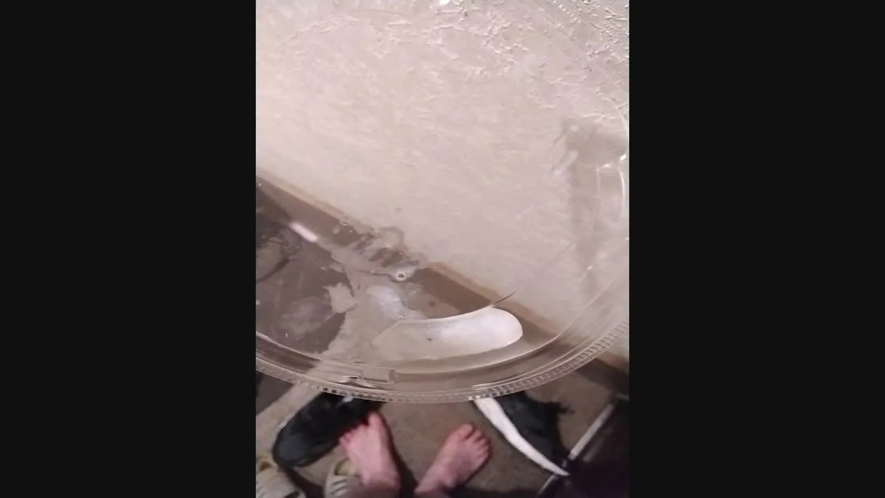 白い液体 - FC2 Video - 325820