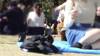 公園パンチラ１９　人混みのお花見の中で何度もパンチラしちゃった女大生 - FC2 Video - 329564