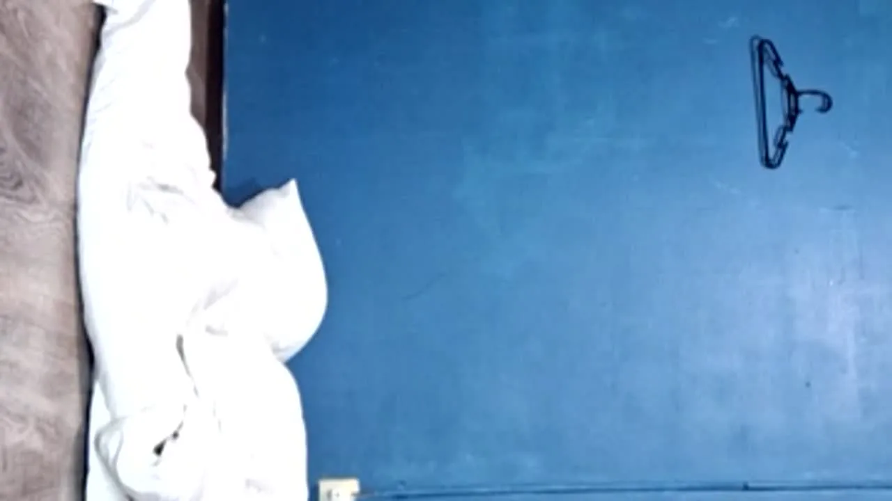 猫柳ひなた41歳　AKARIさんと　 - FC2 Video - 334896