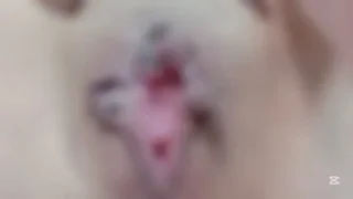 クリトリス用のオナホをケットイキまくりておかしくなりそうてす. - FC2 Video - 336659