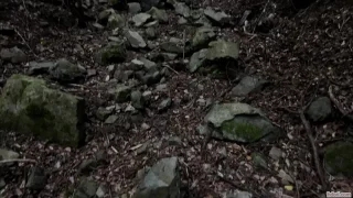 野外デンマオナニー　乳首とクリトリスを同時責め - FC2 Video - 338679