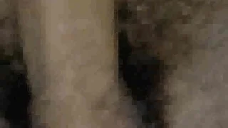 高速でシコられるチンポ - FC2 Video - 343913