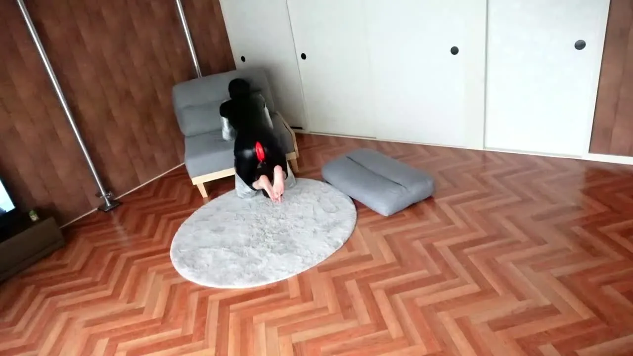 自動尻尾振りプラグバイブ挿入しまま過ごすヒトイヌ　Automatic tail-swinging plug vibrator inserted and left alone - FC2 Video - 344157