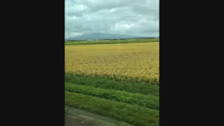 撫牛子でちんぽなでなで - FC2 Video - 355505