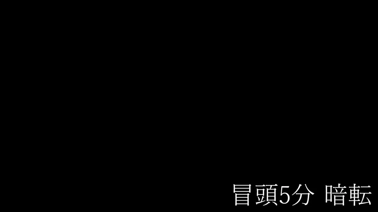 先着限定*【無】美女 厳選 SSS級 ハメ撮り Vol.１【本日限定】 - FC2 Video - 365068