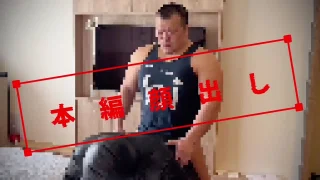 GNM⚠️顔出し限定特別企画「ブラックマスクと犬者の石」 - FC2 Video - 378287