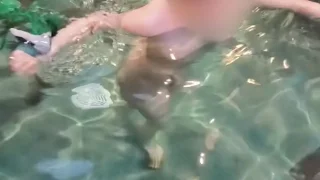 プールでヌード - FC2 Video - 379415