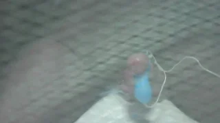 ペニクリローターO7&寸止？！21時終了・・自称美脚露出今日(狂)㊙％女装G垂流し生配信！ - FC2 Video - 379595