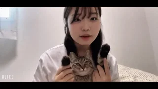 【無】猫好きなかわいい巨乳女子大生が、オナニーライブを配信してくれました。 - FC2 Video - 383798