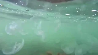 保養地の滝つぼに飛び込む者や浜辺で楽しむ者＆目立たぬ地下アイドルがフアン向けハイレグ水着でアピール - FC2 Video - 391269